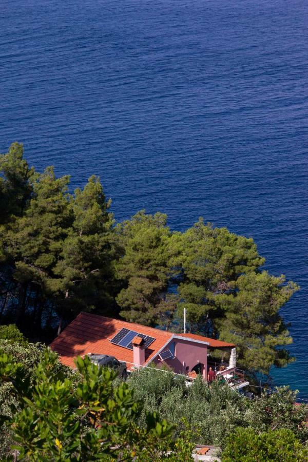 Villa Modern Robinson Veli Bare Vela Luka Exterior foto